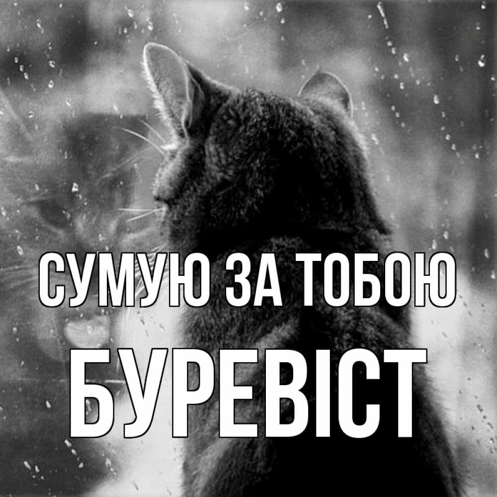 Открытка на каждый день з підписом, Буревіст Сумую за тобою скорее ко мне приходи 1 Прикольна листівка з побажанням онлайн скачати безкоштовно 