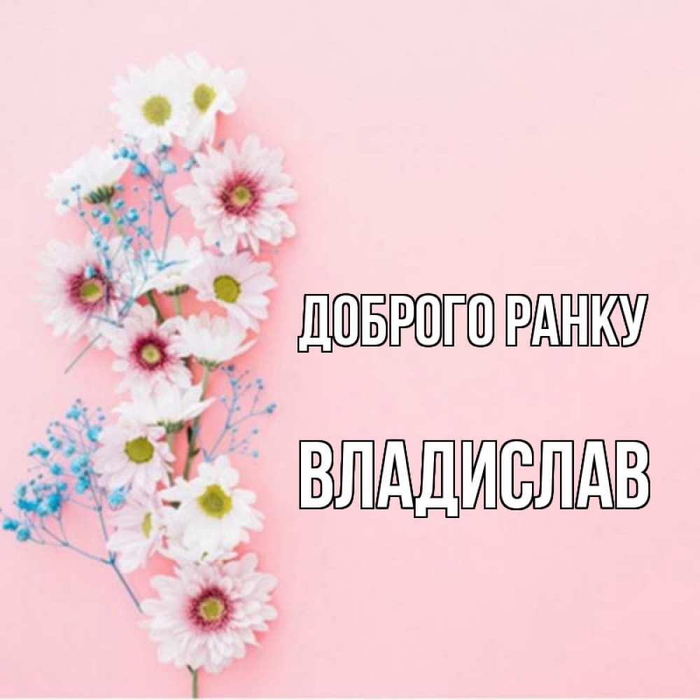 Открытка на каждый день з підписом, Владислав Доброго ранку цветы с подписью Прикольна листівка з побажанням онлайн скачати безкоштовно 