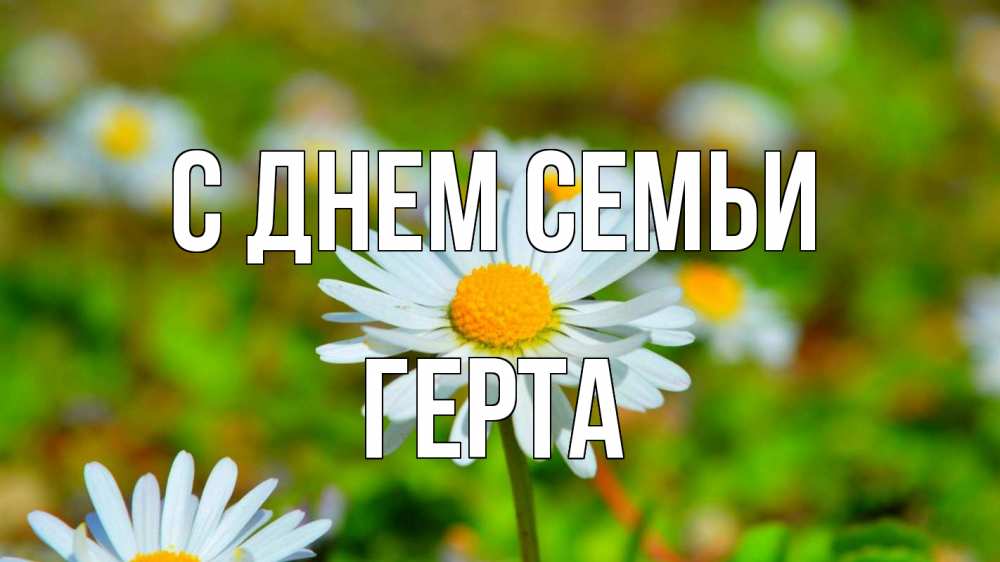 Открытка на каждый день з підписом, Герта С днем семьи с днем семьи Прикольна листівка з побажанням онлайн скачати безкоштовно 