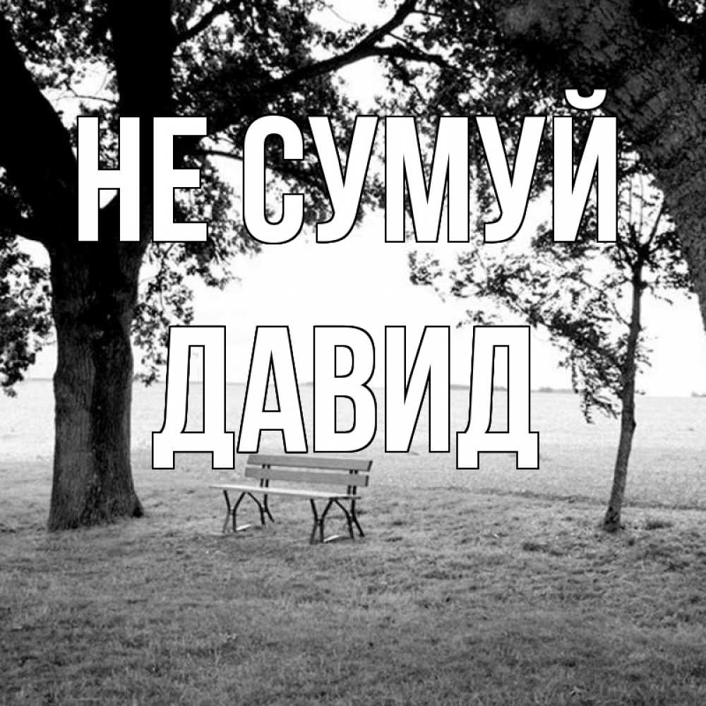 Открытка на каждый день з підписом, Давид Не сумуй мощное дерево Прикольна листівка з побажанням онлайн скачати безкоштовно 