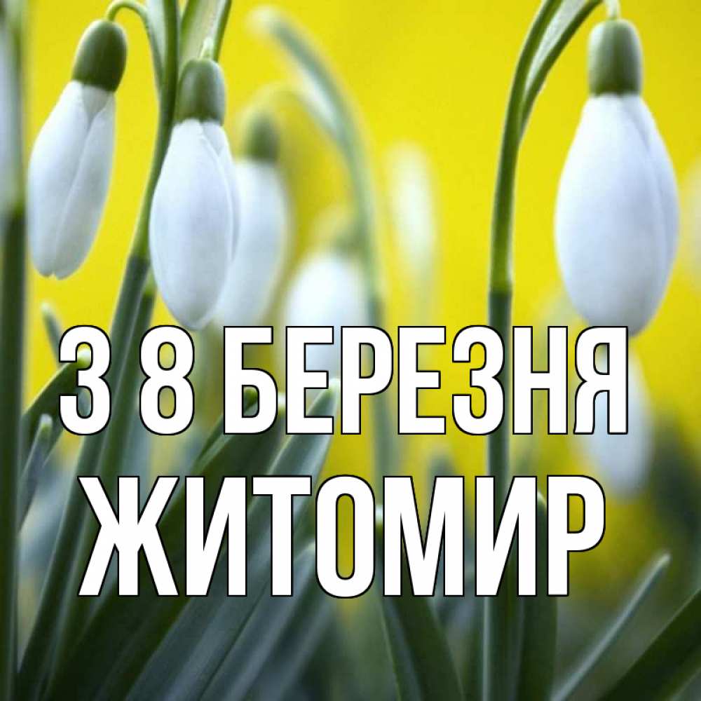 Открытка на каждый день з підписом, Житомир З 8 БЕРЕЗНЯ весенние цветы Прикольна листівка з побажанням онлайн скачати безкоштовно 
