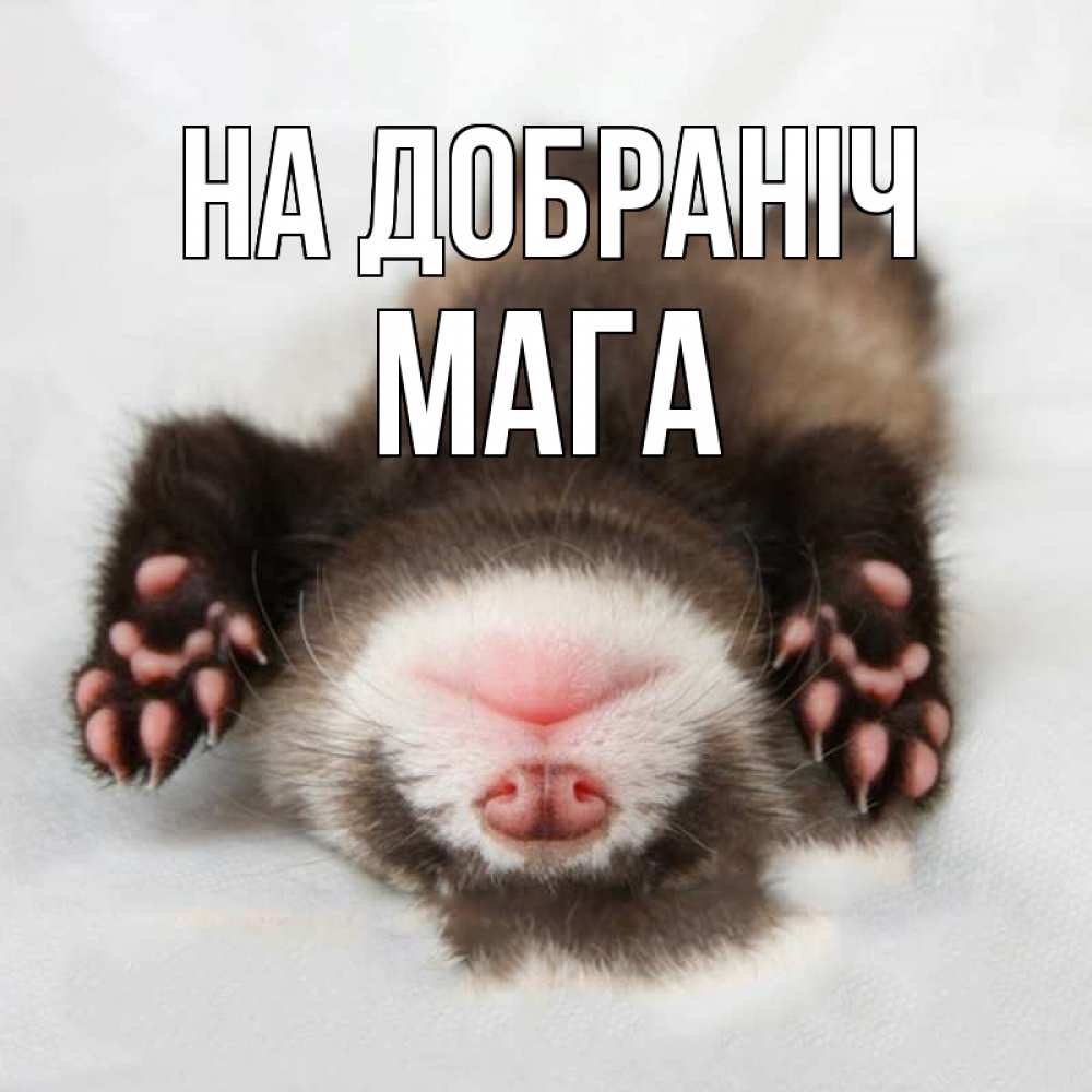 Открытка на каждый день з підписом, Мага На добраніч зверек Прикольна листівка з побажанням онлайн скачати безкоштовно 