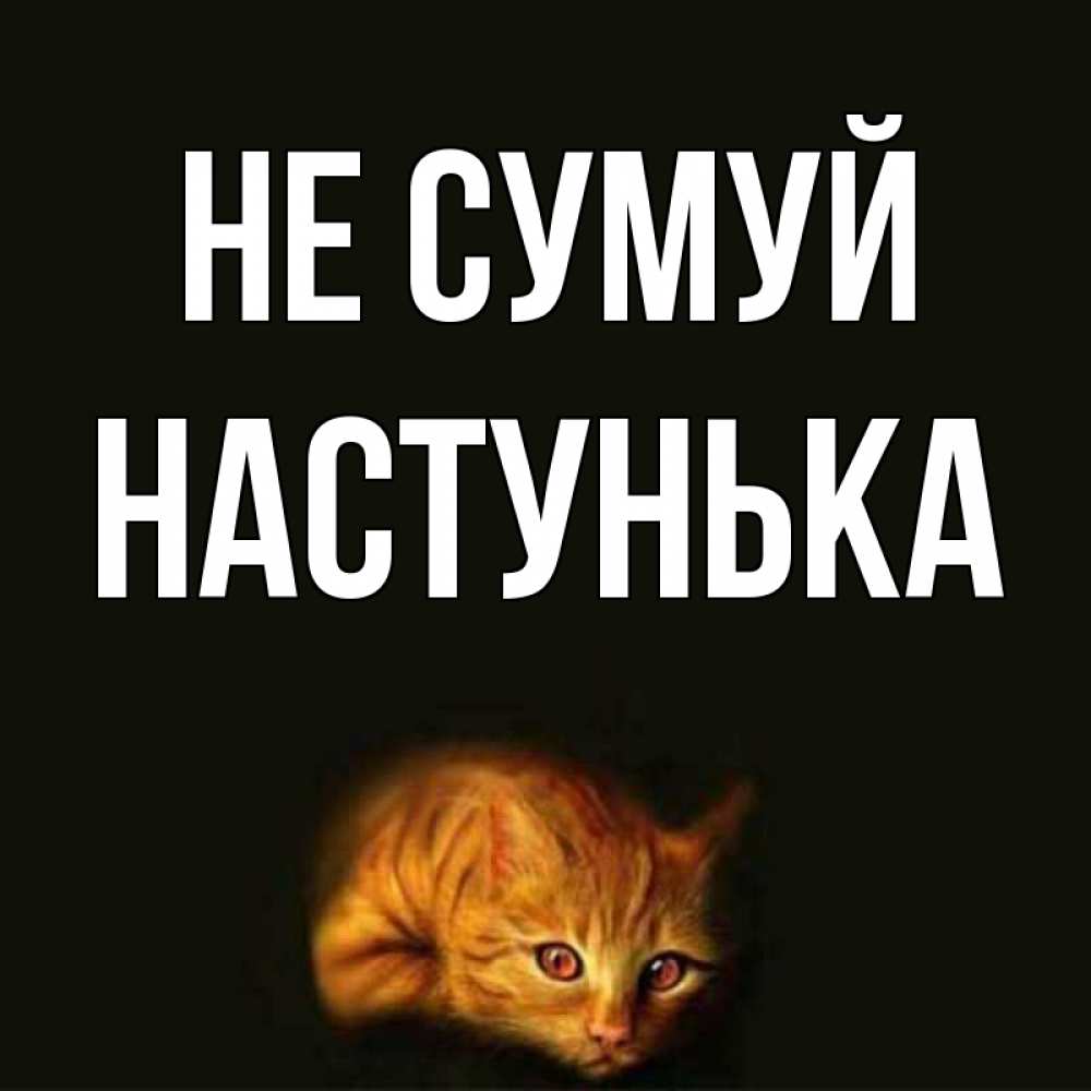 Открытка на каждый день з підписом, Настунька Не сумуй лежащий кот в темноте Прикольна листівка з побажанням онлайн скачати безкоштовно 