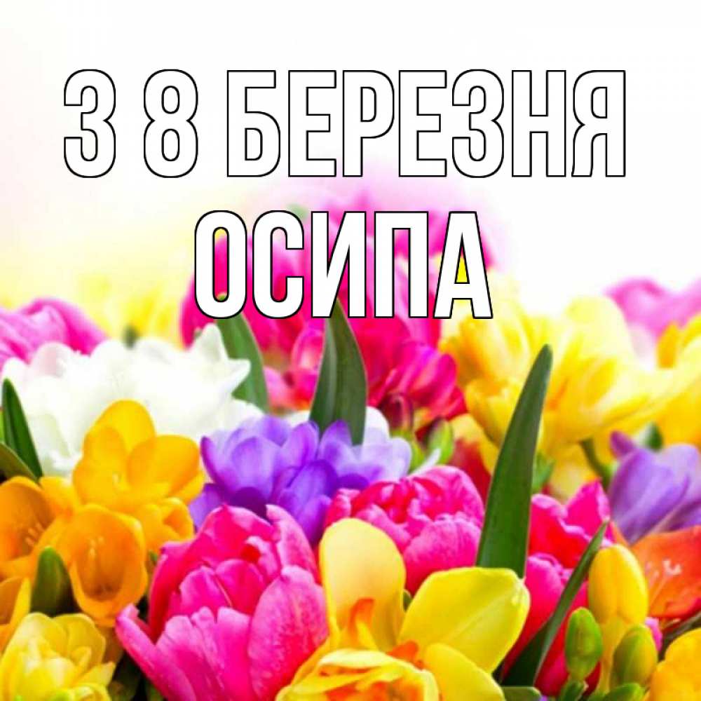 Открытка на каждый день з підписом, Осипа З 8 БЕРЕЗНЯ тюльпаны Прикольна листівка з побажанням онлайн скачати безкоштовно 