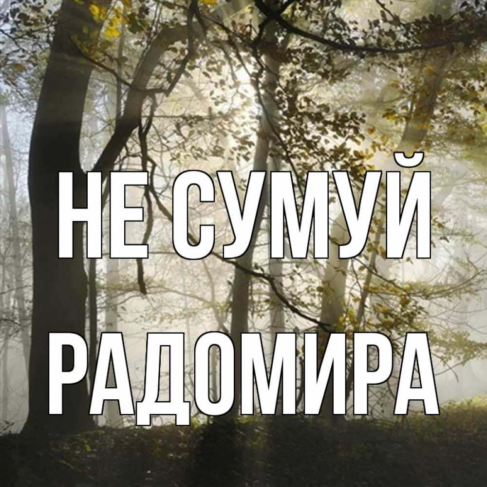 Открытка на каждый день з підписом, Радомира Не сумуй лес и свет Прикольна листівка з побажанням онлайн скачати безкоштовно 