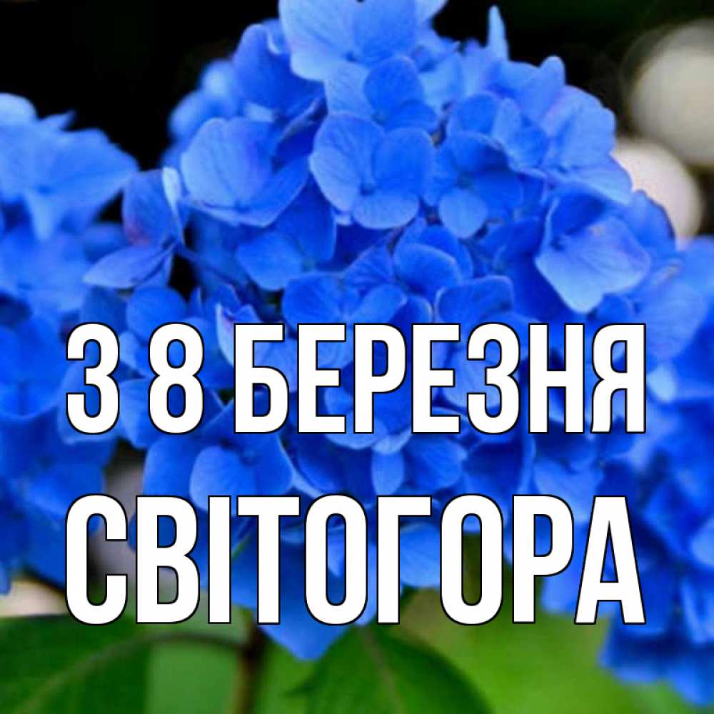Открытка на каждый день з підписом, Світогора З 8 БЕРЕЗНЯ синие цветы Прикольна листівка з побажанням онлайн скачати безкоштовно 