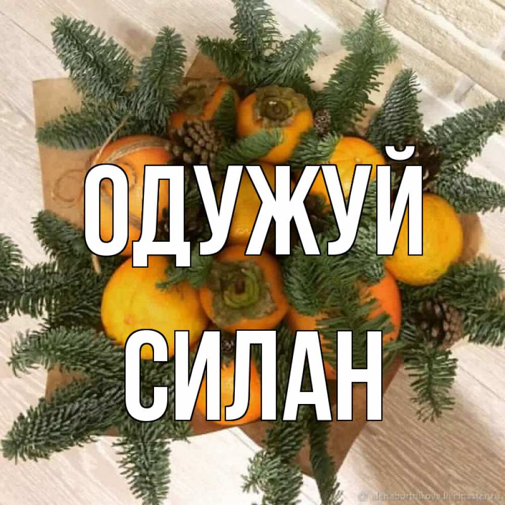 Открытка на каждый день з підписом, Силан Одужуй апельсины и хурьма Прикольна листівка з побажанням онлайн скачати безкоштовно 