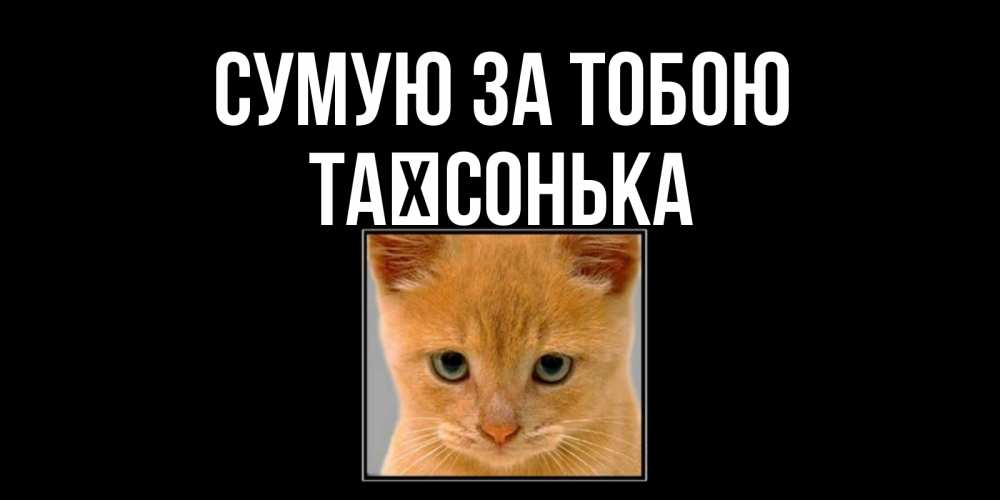 Открытка на каждый день з підписом, Таїсонька Сумую за тобою открытки рыжий котенок скучает по тебе Прикольна листівка з побажанням онлайн скачати безкоштовно 