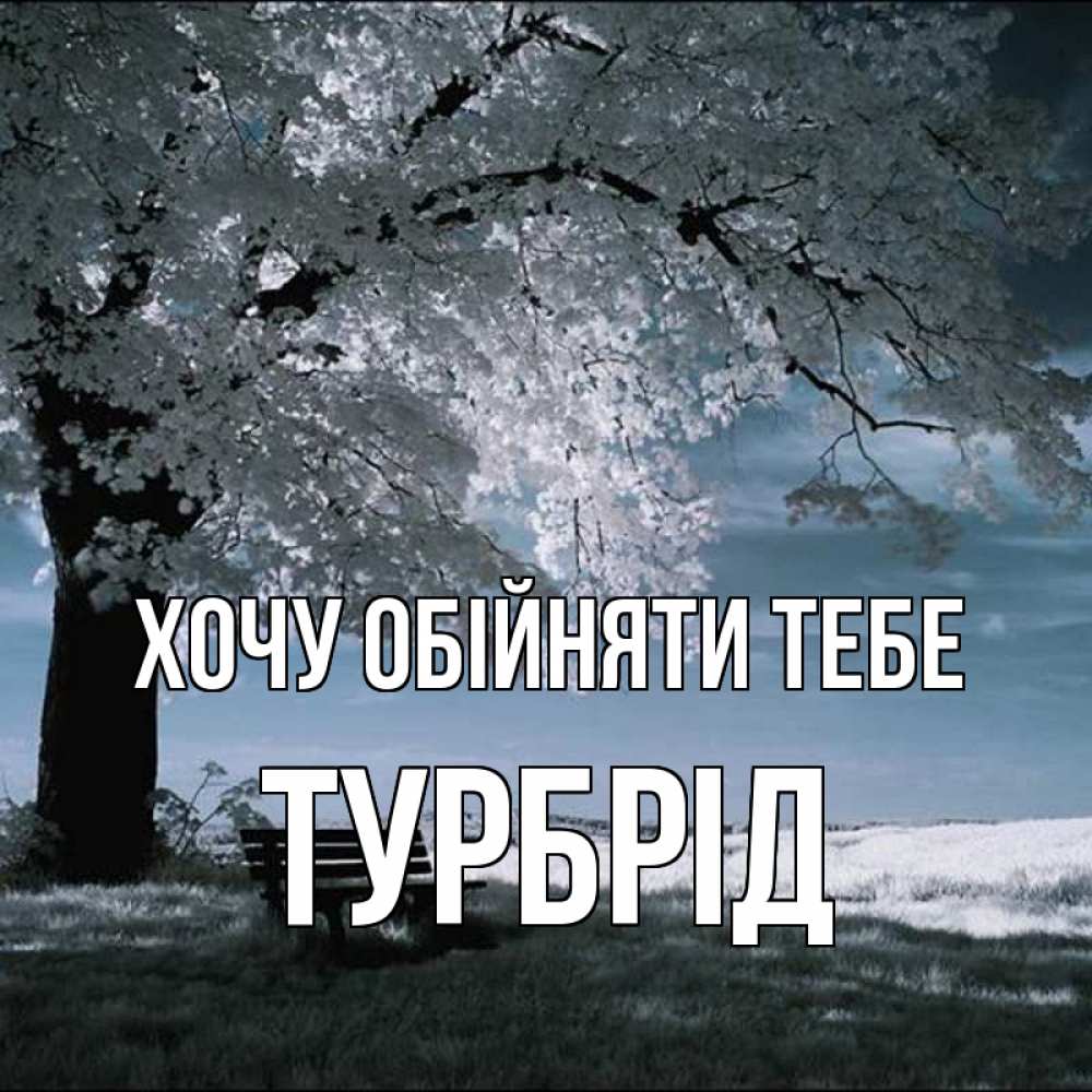 Открытка на каждый день з підписом, Турбрід Хочу обійняти тебе дерево Прикольна листівка з побажанням онлайн скачати безкоштовно 