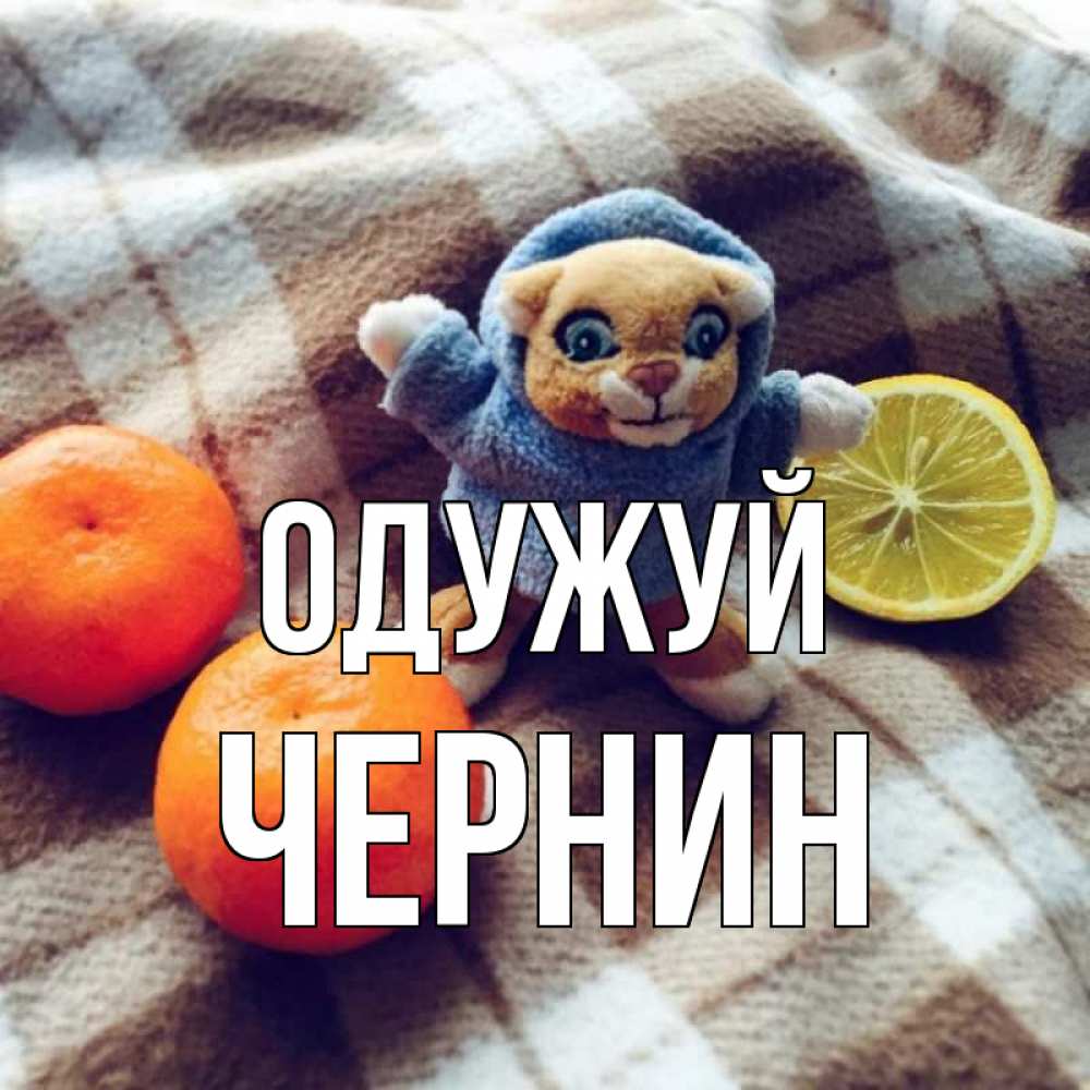 Открытка на каждый день з підписом, Чернин Одужуй вот тебе апельсинка и лимон Прикольна листівка з побажанням онлайн скачати безкоштовно 