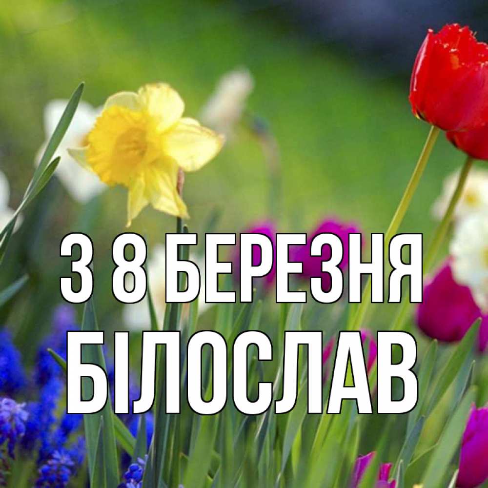 Открытка на каждый день з підписом, Білослав З 8 БЕРЕЗНЯ международный женский день 3 Прикольна листівка з побажанням онлайн скачати безкоштовно 