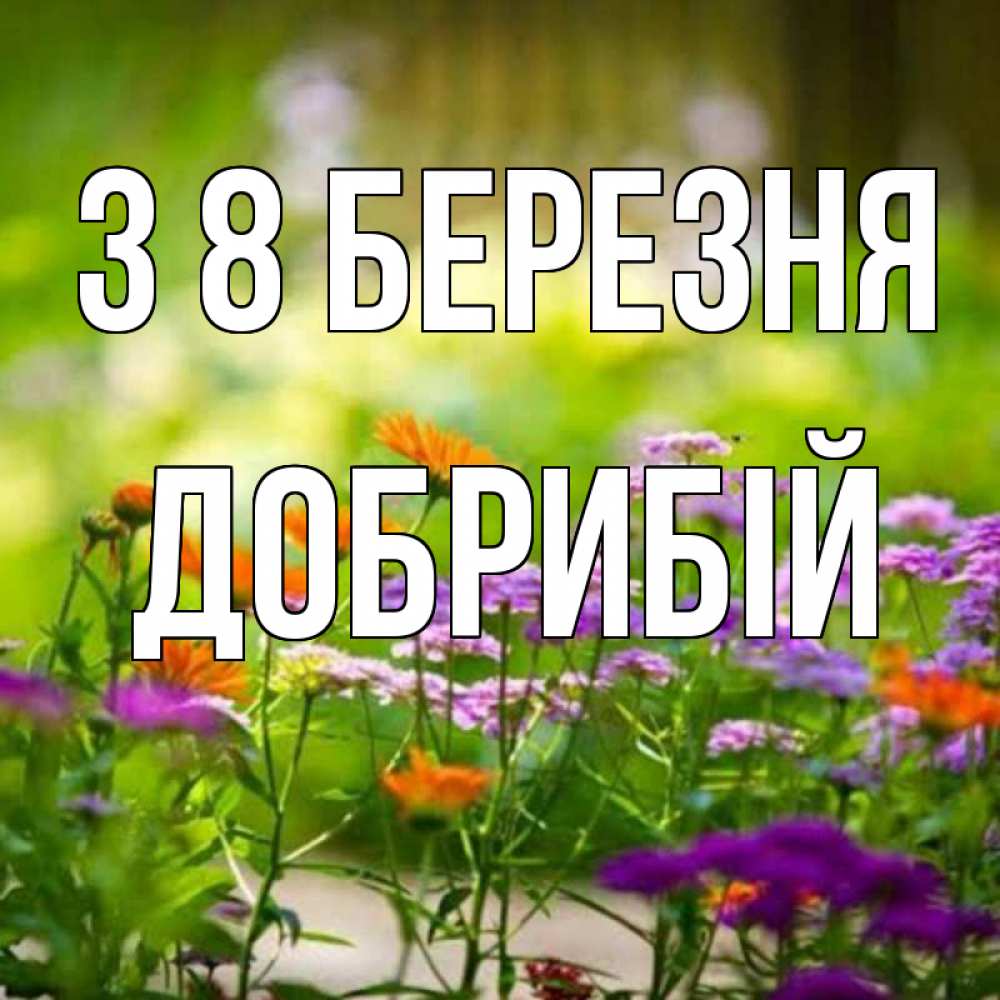 Открытка на каждый день з підписом, Добрибій З 8 БЕРЕЗНЯ цветы Прикольна листівка з побажанням онлайн скачати безкоштовно 
