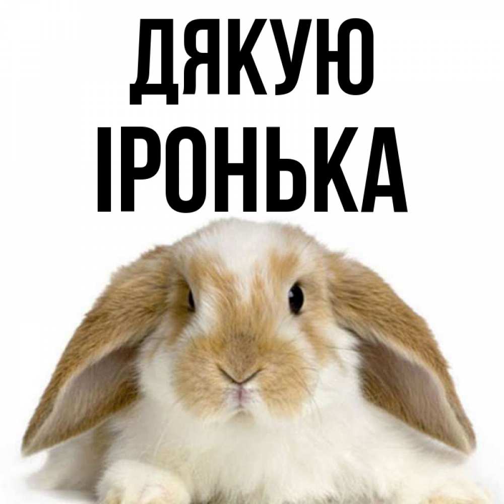 Открытка на каждый день з підписом, Іронька Дякую коричнево белый заяц Прикольна листівка з побажанням онлайн скачати безкоштовно 