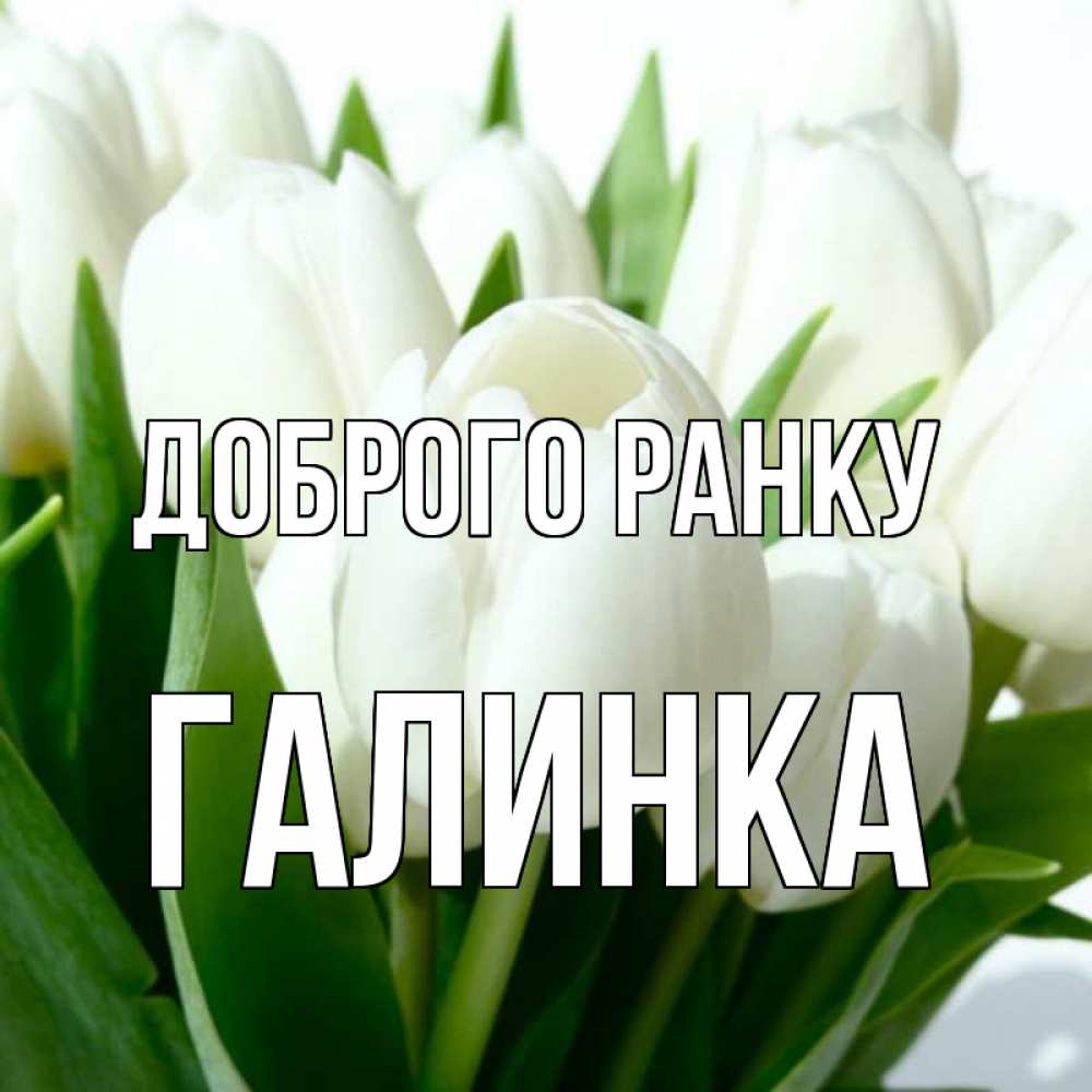 Открытка на каждый день з підписом, Галинка Доброго ранку открытки на каждый день по именам Прикольна листівка з побажанням онлайн скачати безкоштовно 