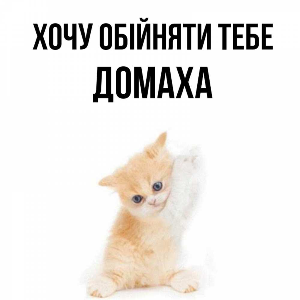 Открытка на каждый день з підписом, Домаха Хочу обійняти тебе я хочу очень скорее обнимаешек Прикольна листівка з побажанням онлайн скачати безкоштовно 