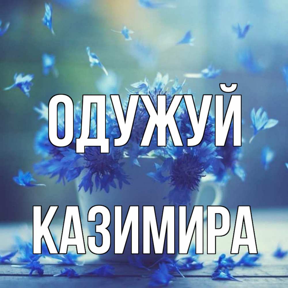 Открытка на каждый день з підписом, Казимира Одужуй кружка с зельем и цветами Прикольна листівка з побажанням онлайн скачати безкоштовно 