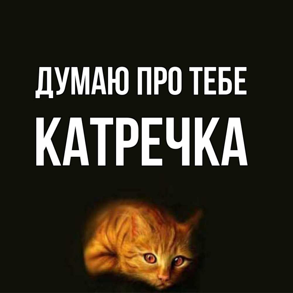 Открытка на каждый день з підписом, Катречка Думаю про тебе рыжий Прикольна листівка з побажанням онлайн скачати безкоштовно 