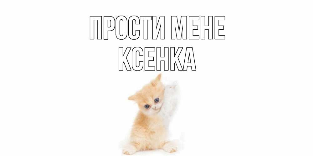 Открытка на каждый день з підписом, Ксенка Прости мене кот Прикольна листівка з побажанням онлайн скачати безкоштовно 