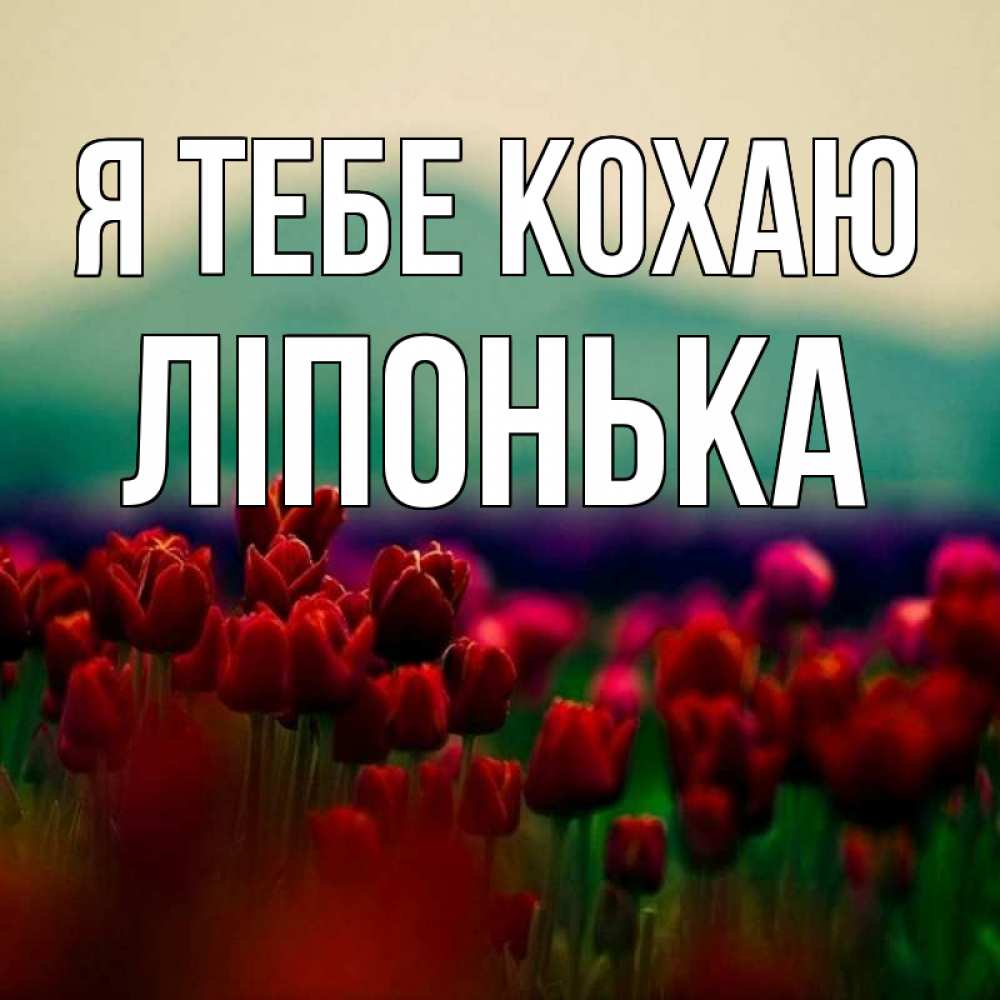 Открытка на каждый день з підписом, Ліпонька Я тебе кохаю тюльпаны 4 Прикольна листівка з побажанням онлайн скачати безкоштовно 