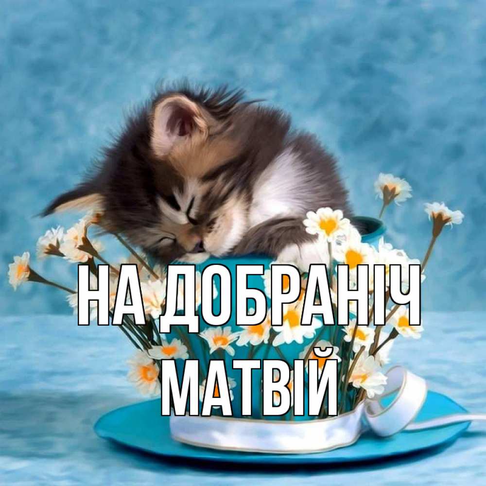 Открытка на каждый день з підписом, Матвій На добраніч котенок спит в кружке с блюдцем Прикольна листівка з побажанням онлайн скачати безкоштовно 