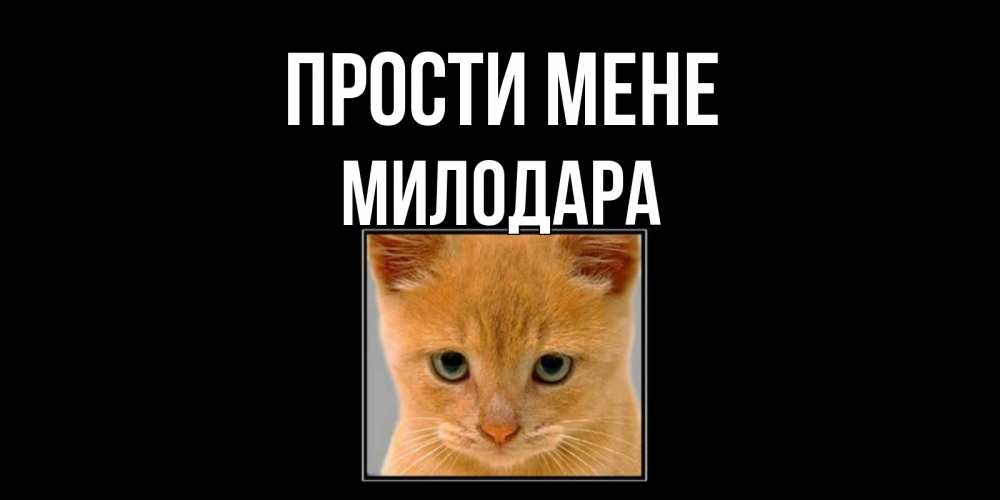 Открытка на каждый день з підписом, Милодара Прости мене рыжий грустный кот просит прощения Прикольна листівка з побажанням онлайн скачати безкоштовно 