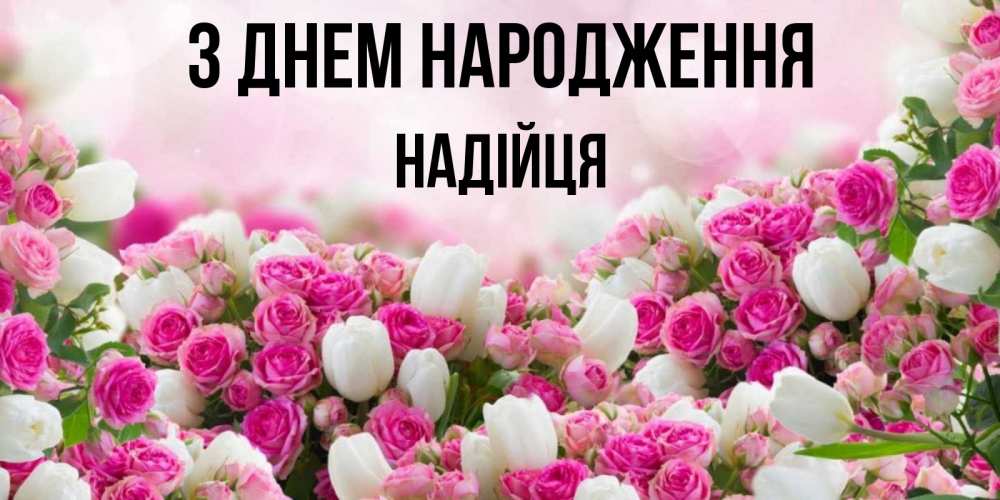 Открытка на каждый день з підписом, Надійця З Днем народження открытка с разными розами Прикольна листівка з побажанням онлайн скачати безкоштовно 