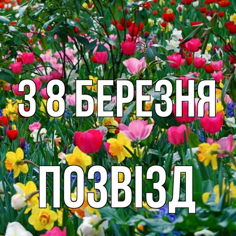 Открытка на каждый день з підписом, Позвізд З 8 БЕРЕЗНЯ с международным женским днем поздравления для женщины Прикольна листівка з побажанням онлайн скачати безкоштовно 