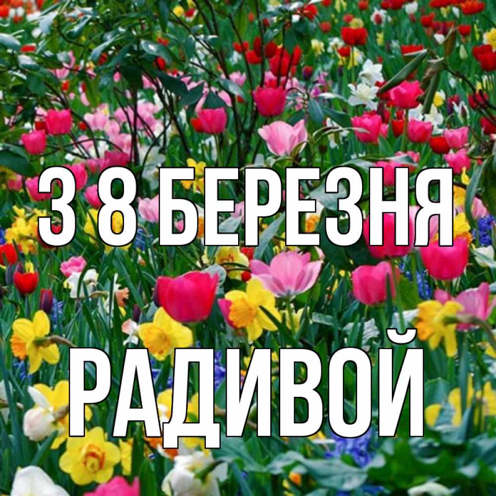 Открытка на каждый день з підписом, Радивой З 8 БЕРЕЗНЯ с международным женским днем поздравления для женщины Прикольна листівка з побажанням онлайн скачати безкоштовно 