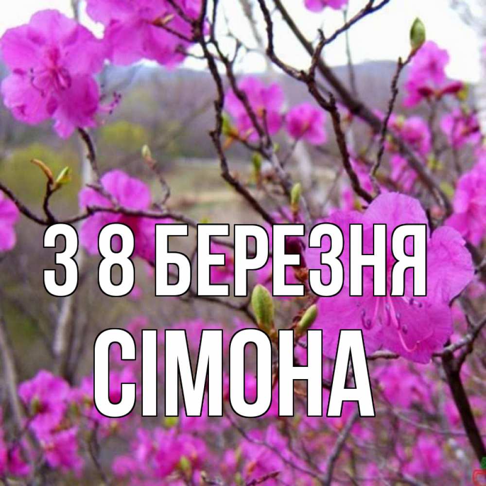 Открытка на каждый день з підписом, Сімона З 8 БЕРЕЗНЯ международный женский день Прикольна листівка з побажанням онлайн скачати безкоштовно 
