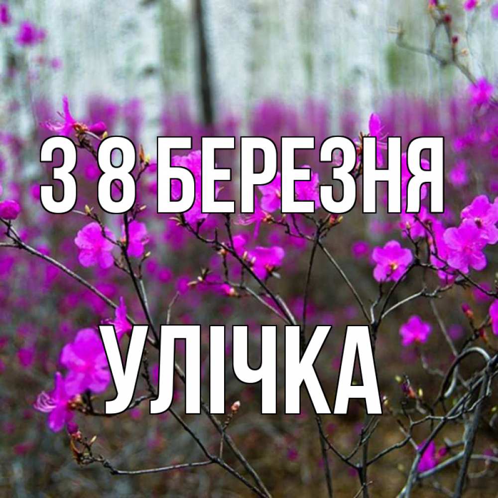 Открытка на каждый день з підписом, Улічка З 8 БЕРЕЗНЯ дикие цветы Прикольна листівка з побажанням онлайн скачати безкоштовно 