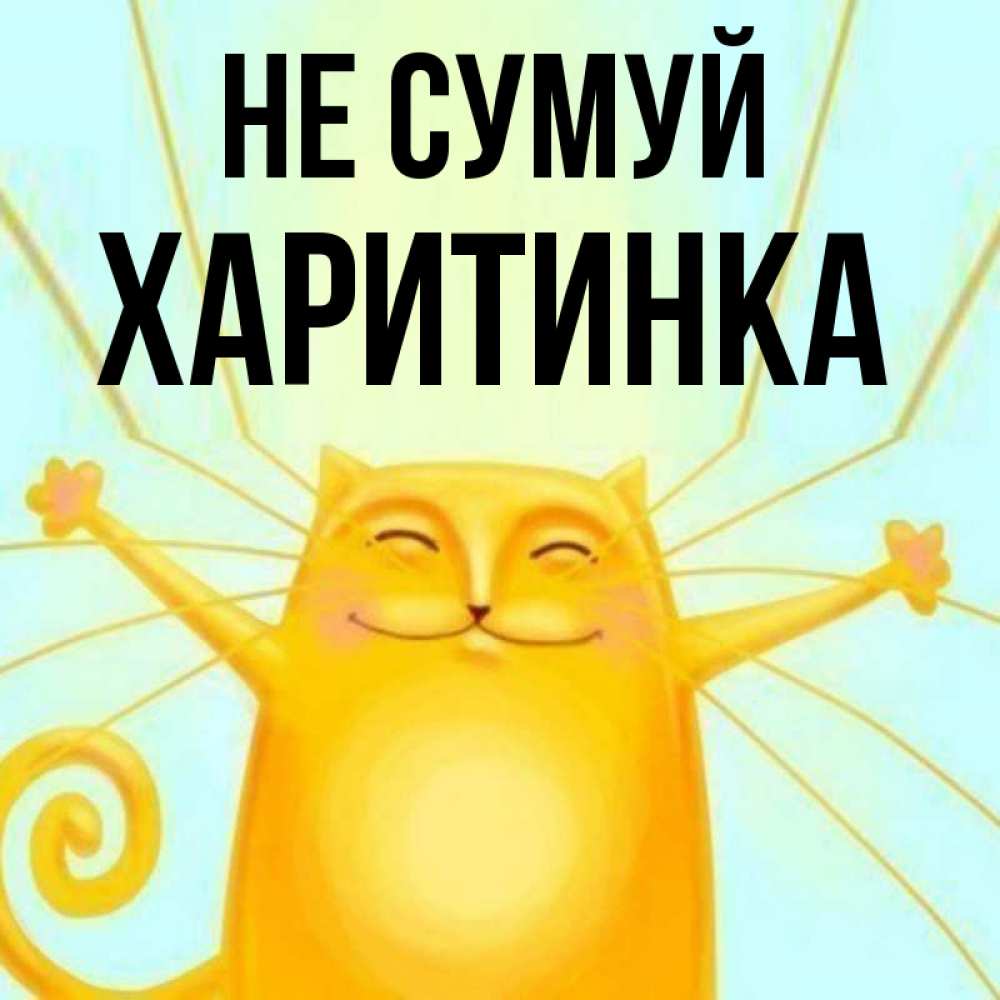Открытка на каждый день з підписом, Харитинка Не сумуй обнимашки усатые Прикольна листівка з побажанням онлайн скачати безкоштовно 