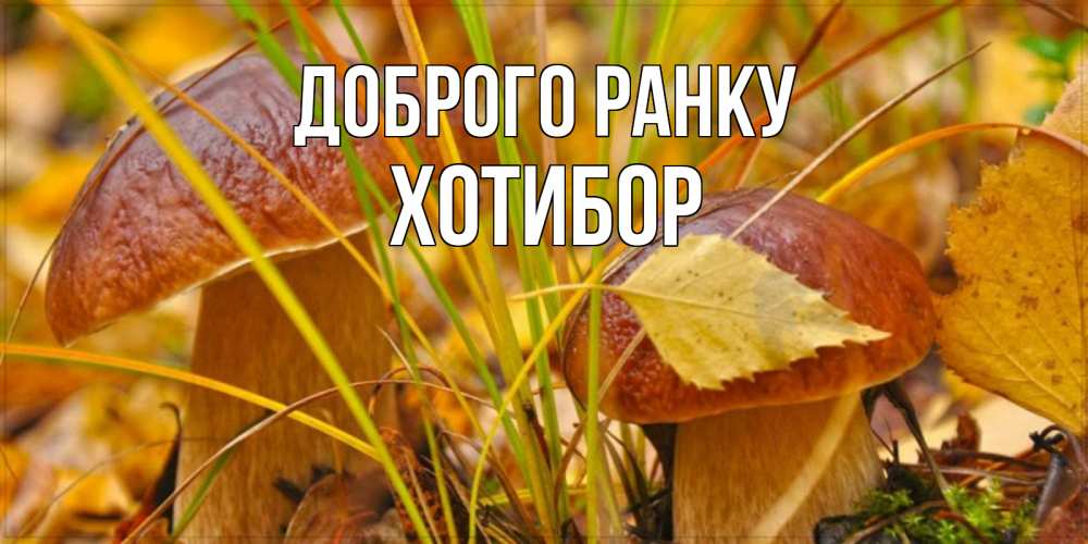 Открытка на каждый день з підписом, Хотибор Доброго ранку осенние грибы Прикольна листівка з побажанням онлайн скачати безкоштовно 