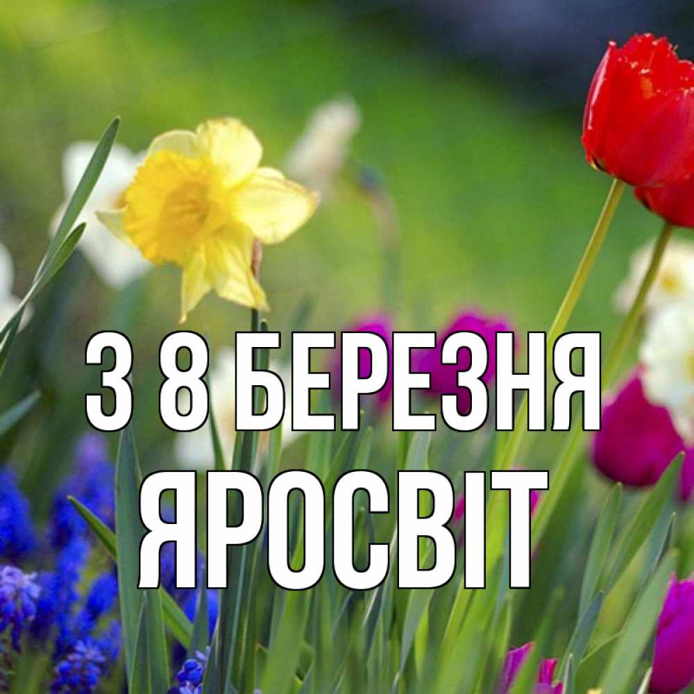 Открытка на каждый день з підписом, Яросвіт З 8 БЕРЕЗНЯ международный женский день 3 Прикольна листівка з побажанням онлайн скачати безкоштовно 