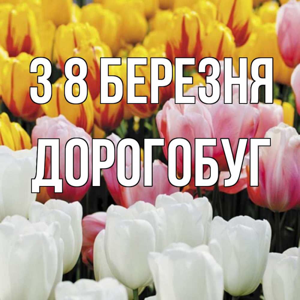 Открытка на каждый день з підписом, Дорогобуг З 8 БЕРЕЗНЯ разноцветные цветы Прикольна листівка з побажанням онлайн скачати безкоштовно 