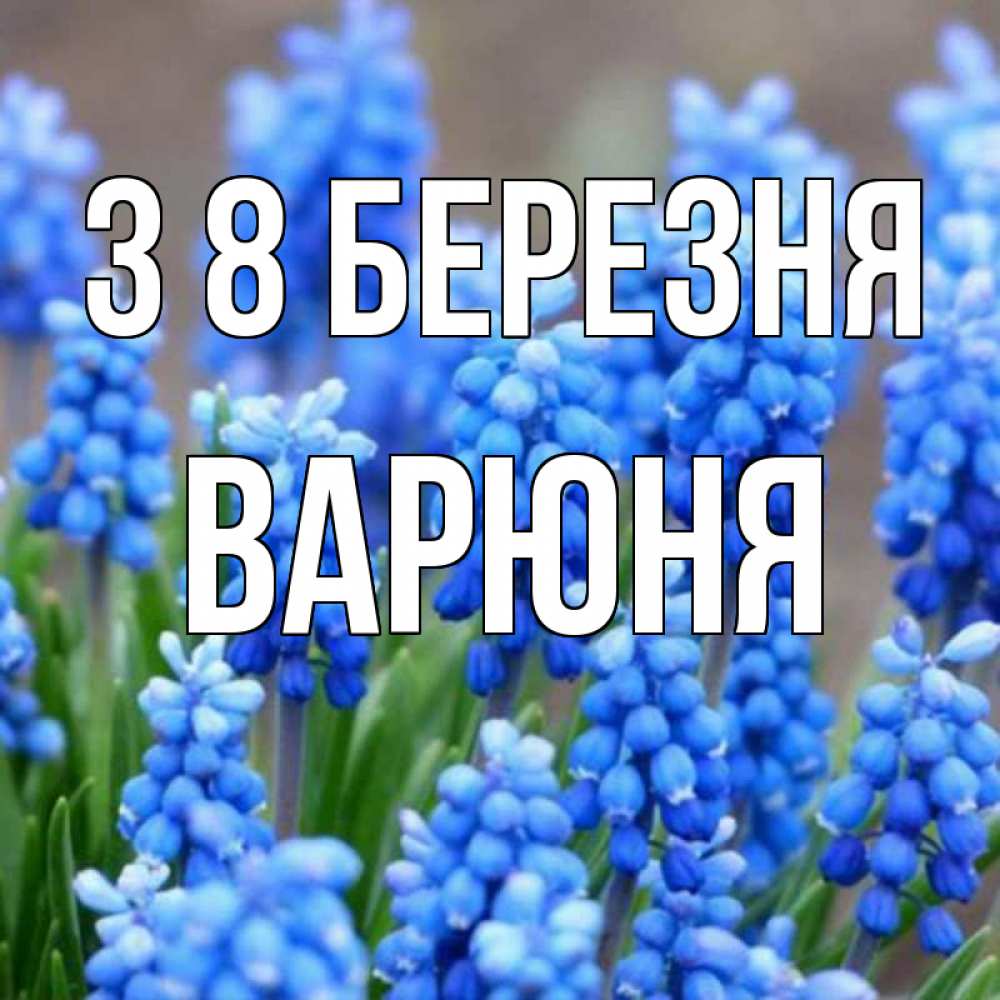 Открытка на каждый день з підписом, Варюня З 8 БЕРЕЗНЯ Поздравительная открытка для женщин с цветами на праздничную дату Прикольна листівка з побажанням онлайн скачати безкоштовно 