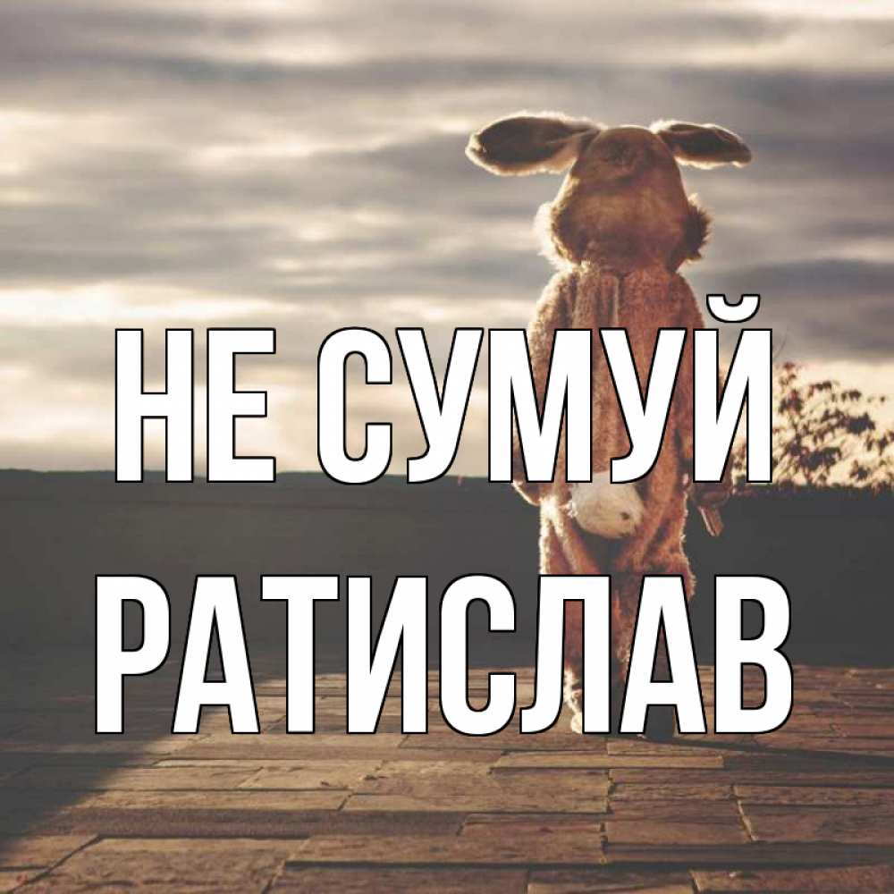 Открытка на каждый день з підписом, Ратислав Не сумуй со спины Прикольна листівка з побажанням онлайн скачати безкоштовно 