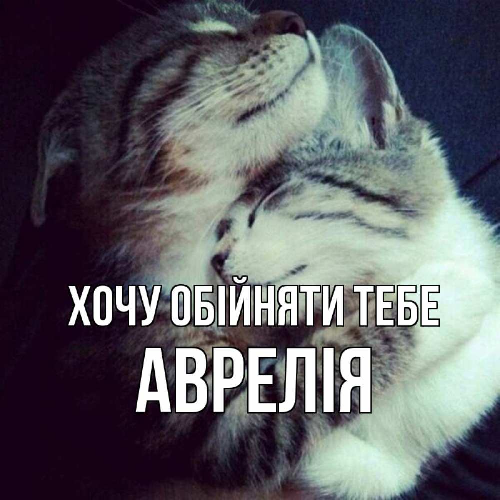 Открытка на каждый день з підписом, Аврелія Хочу обійняти тебе полосатики Прикольна листівка з побажанням онлайн скачати безкоштовно 