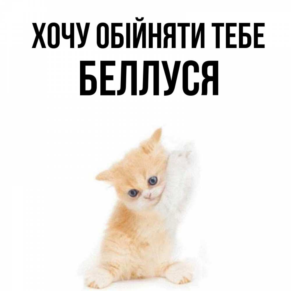 Открытка на каждый день з підписом, Беллуся Хочу обійняти тебе я хочу очень скорее обнимаешек Прикольна листівка з побажанням онлайн скачати безкоштовно 