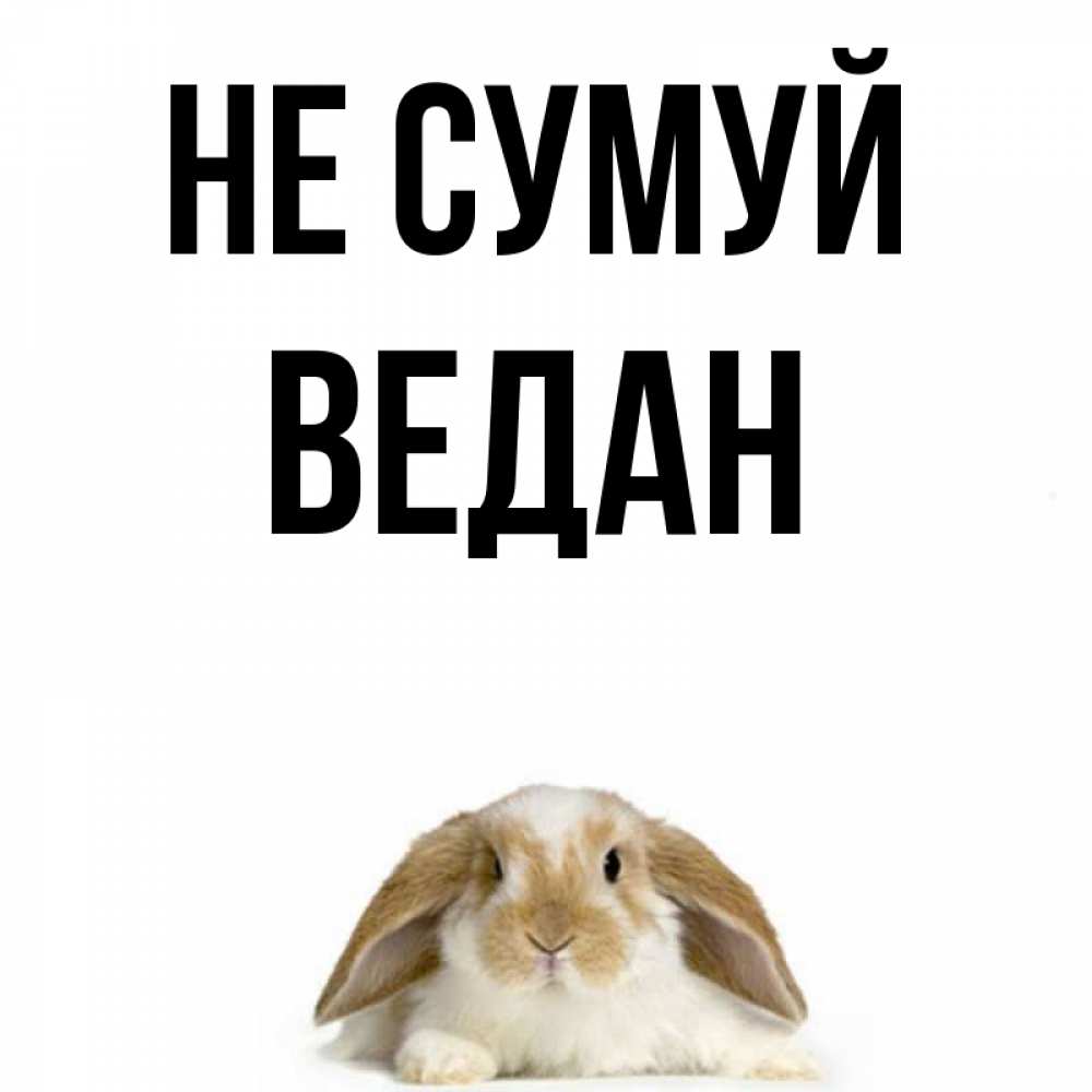 Открытка на каждый день з підписом, Ведан Не сумуй коричнево белый заяц с большими ушками Прикольна листівка з побажанням онлайн скачати безкоштовно 