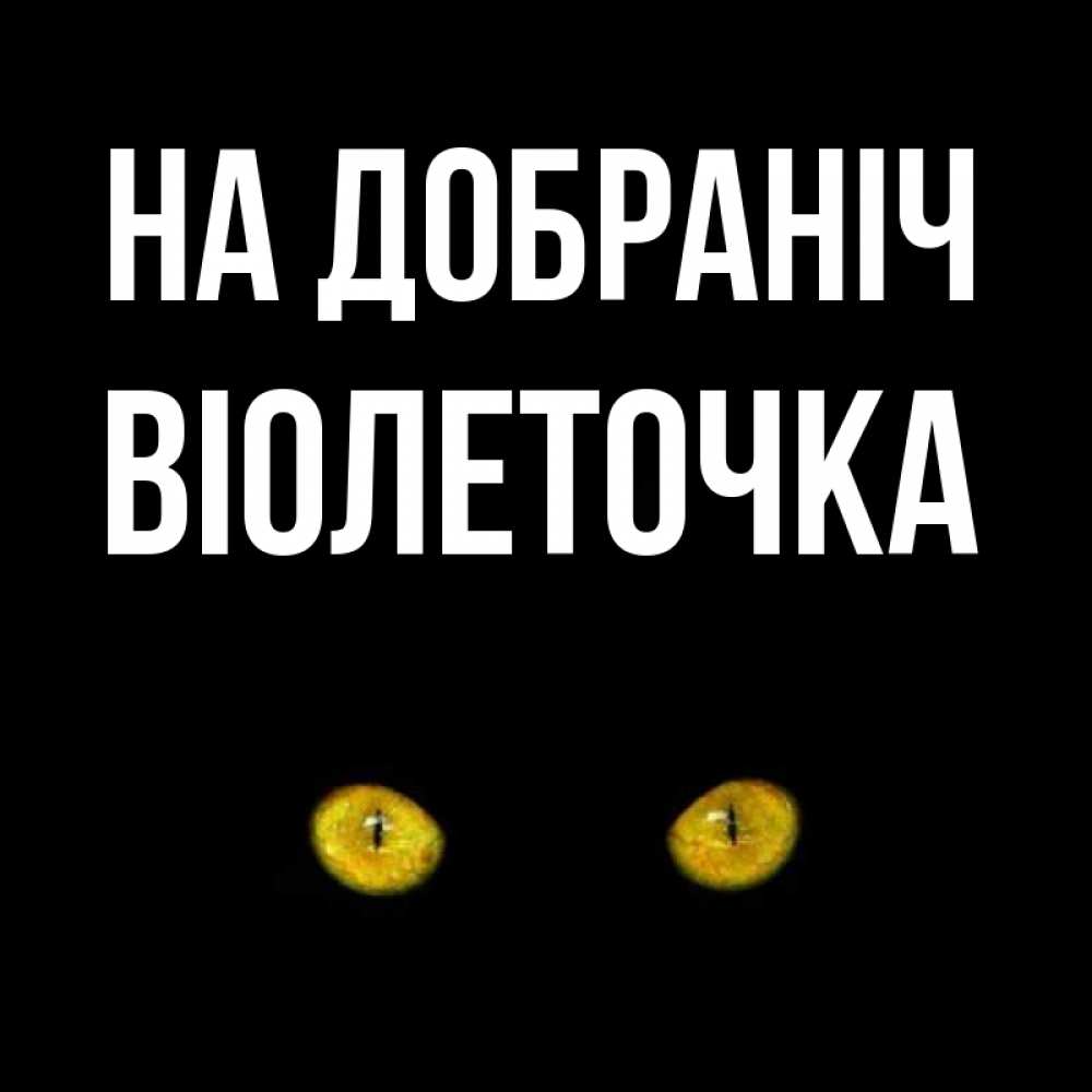 Открытка на каждый день з підписом, Віолеточка На добраніч сладких снов бесстрашный мой дружочек Прикольна листівка з побажанням онлайн скачати безкоштовно 