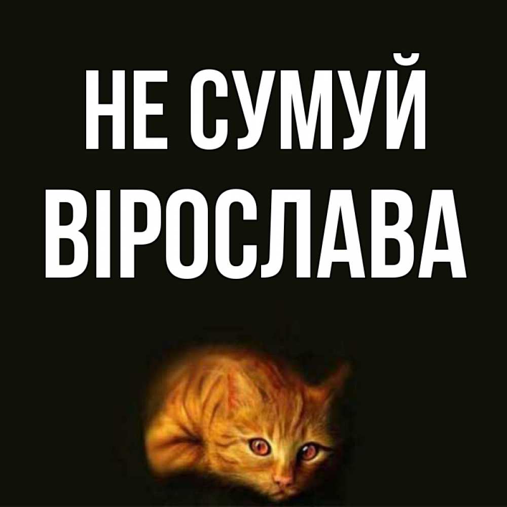 Открытка на каждый день з підписом, Вірослава Не сумуй лежащий кот в темноте Прикольна листівка з побажанням онлайн скачати безкоштовно 