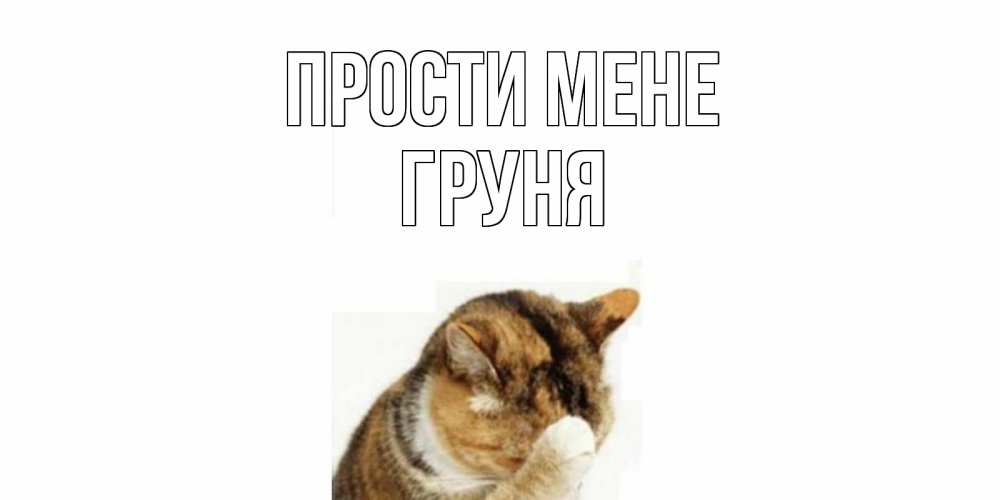 Открытка на каждый день з підписом, Груня Прости мене кот Прикольна листівка з побажанням онлайн скачати безкоштовно 