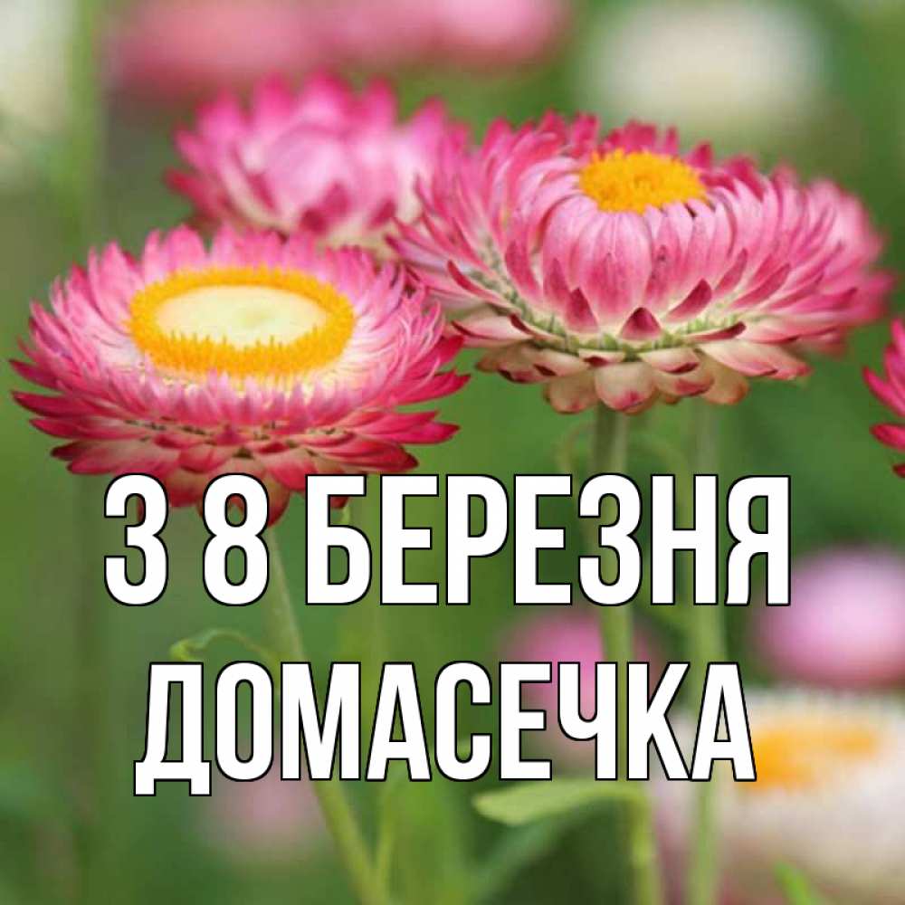 Открытка на каждый день з підписом, Домасечка З 8 БЕРЕЗНЯ подарок на международный женский день Прикольна листівка з побажанням онлайн скачати безкоштовно 
