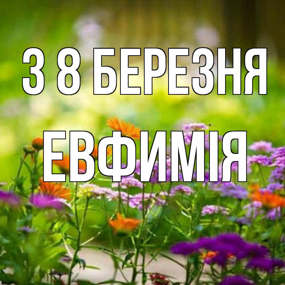 Открытка на каждый день з підписом, Евфимiя З 8 БЕРЕЗНЯ цветы Прикольна листівка з побажанням онлайн скачати безкоштовно 
