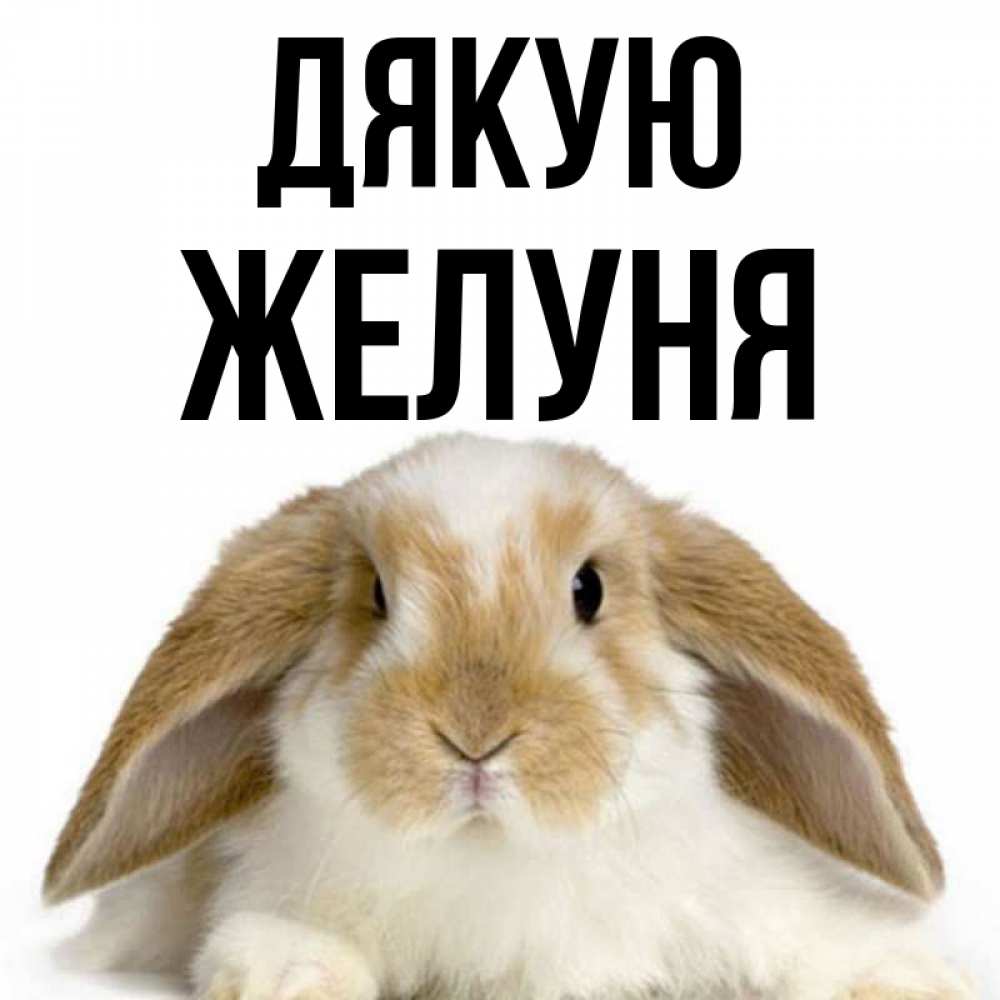 Открытка на каждый день з підписом, Желуня Дякую коричнево белый заяц Прикольна листівка з побажанням онлайн скачати безкоштовно 