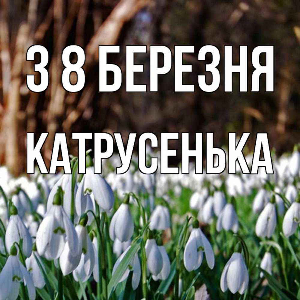 Открытка на каждый день з підписом, Катрусенька З 8 БЕРЕЗНЯ с подснежниками 1 Прикольна листівка з побажанням онлайн скачати безкоштовно 