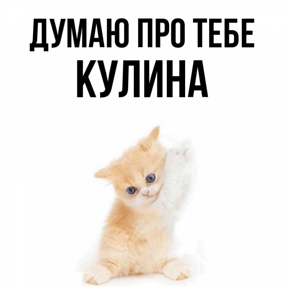 Открытка на каждый день з підписом, Кулина Думаю про тебе зверушки и милота Прикольна листівка з побажанням онлайн скачати безкоштовно 