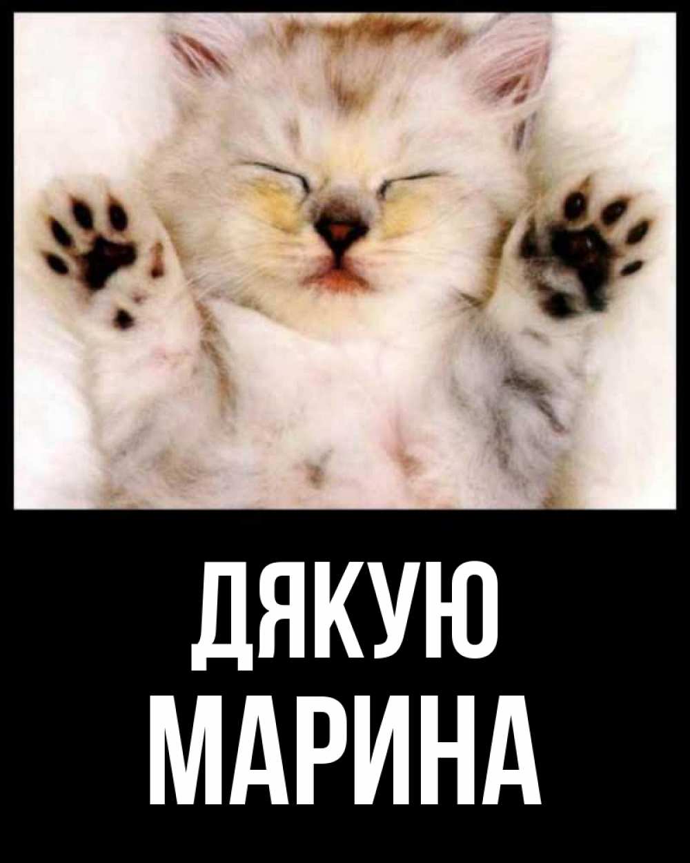 Открытка на каждый день з підписом, Марина Дякую маленький котенок Прикольна листівка з побажанням онлайн скачати безкоштовно 