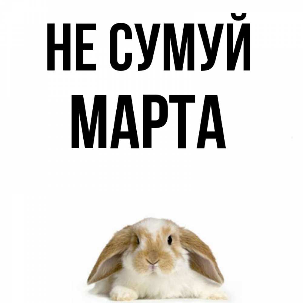 Открытка на каждый день з підписом, Марта Не сумуй коричнево белый заяц с большими ушками Прикольна листівка з побажанням онлайн скачати безкоштовно 