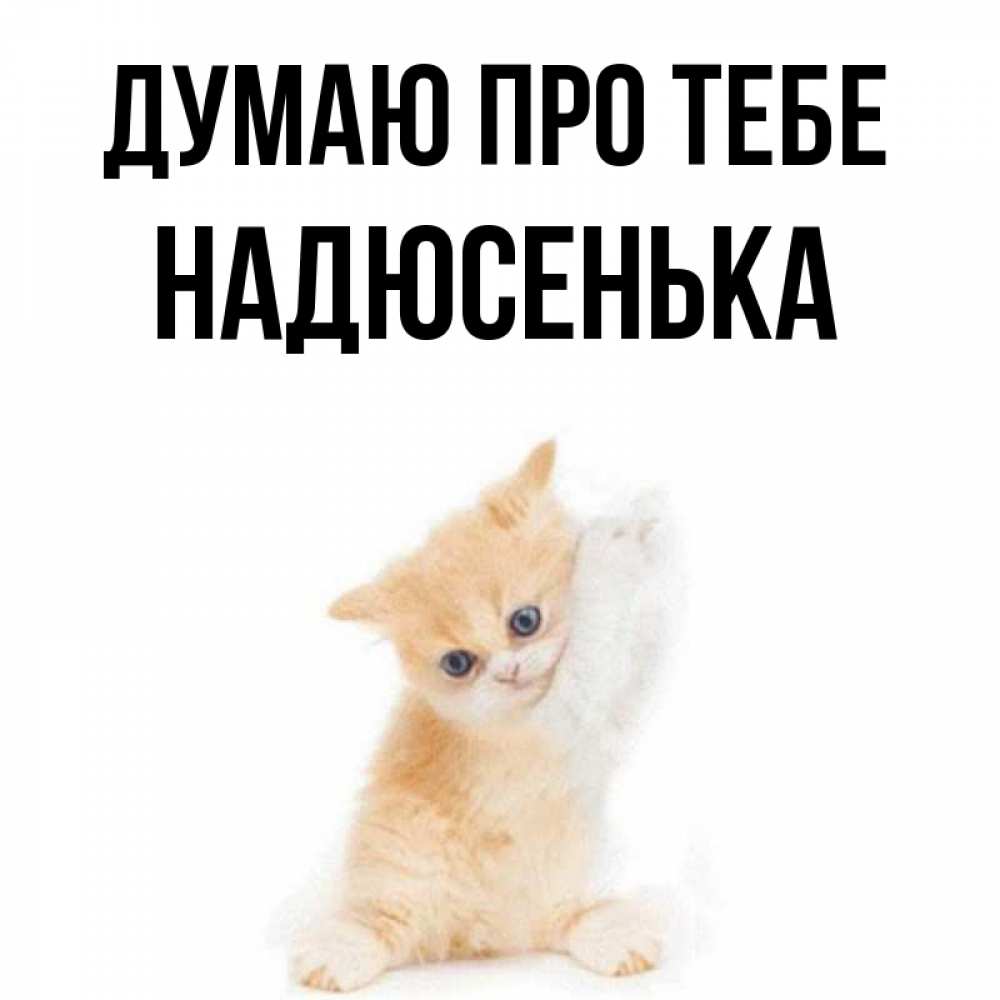 Открытка на каждый день з підписом, Надюсенька Думаю про тебе зверушки и милота Прикольна листівка з побажанням онлайн скачати безкоштовно 